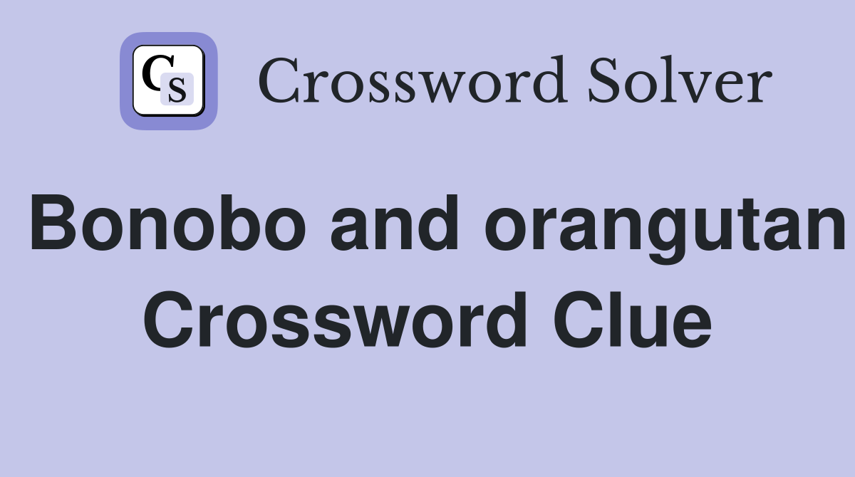 Bonobo and orangutan Crossword Clue