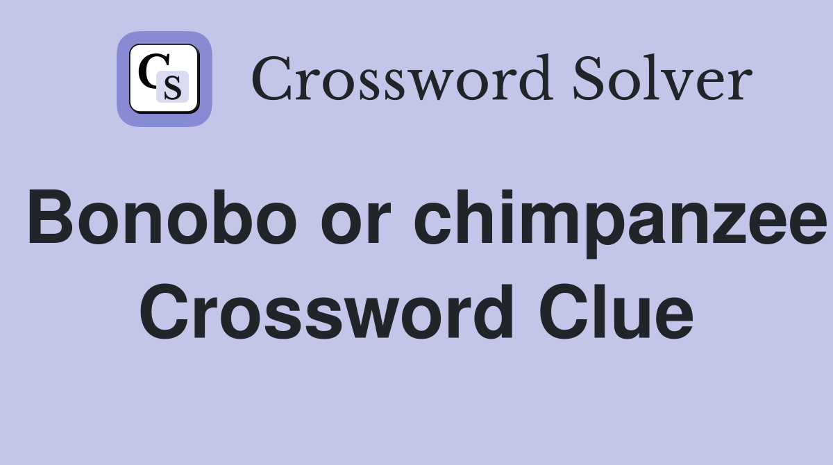 Bonobo or chimpanzee Crossword Clue