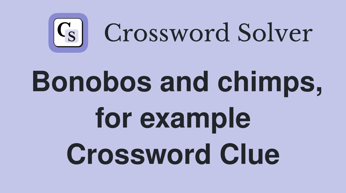 Bonobos and chimps, for example Crossword Clue