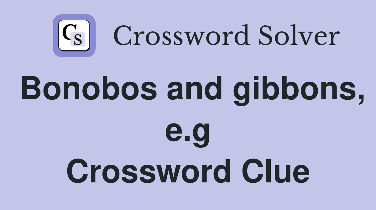 Bonobos and gibbons, e.g Crossword Clue