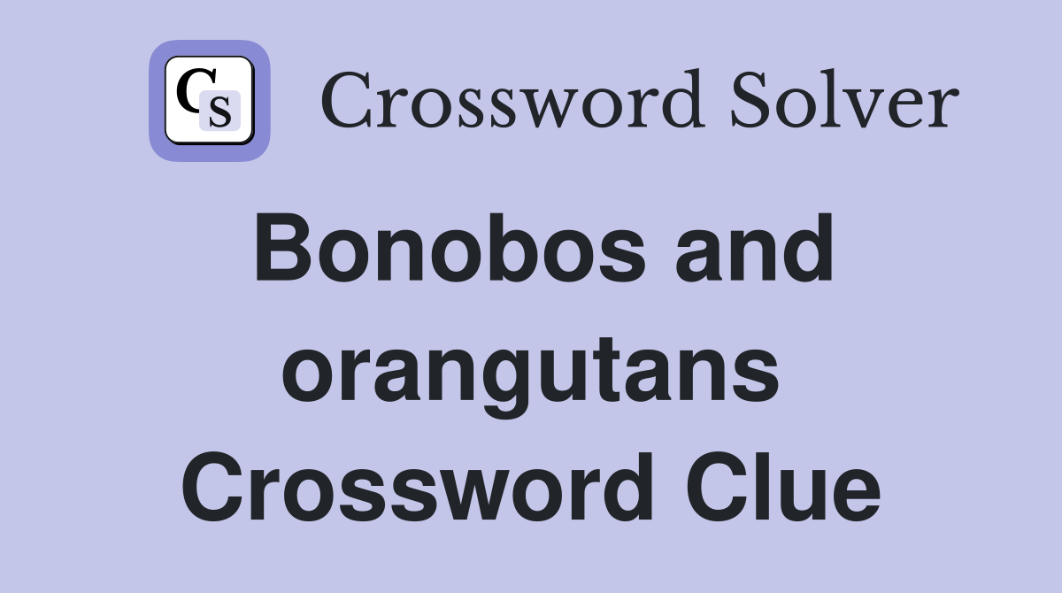 Bonobos and orangutans Crossword Clue
