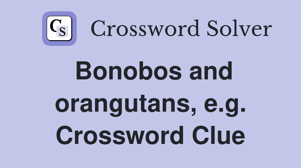 Bonobos and orangutans, e.g. Crossword Clue