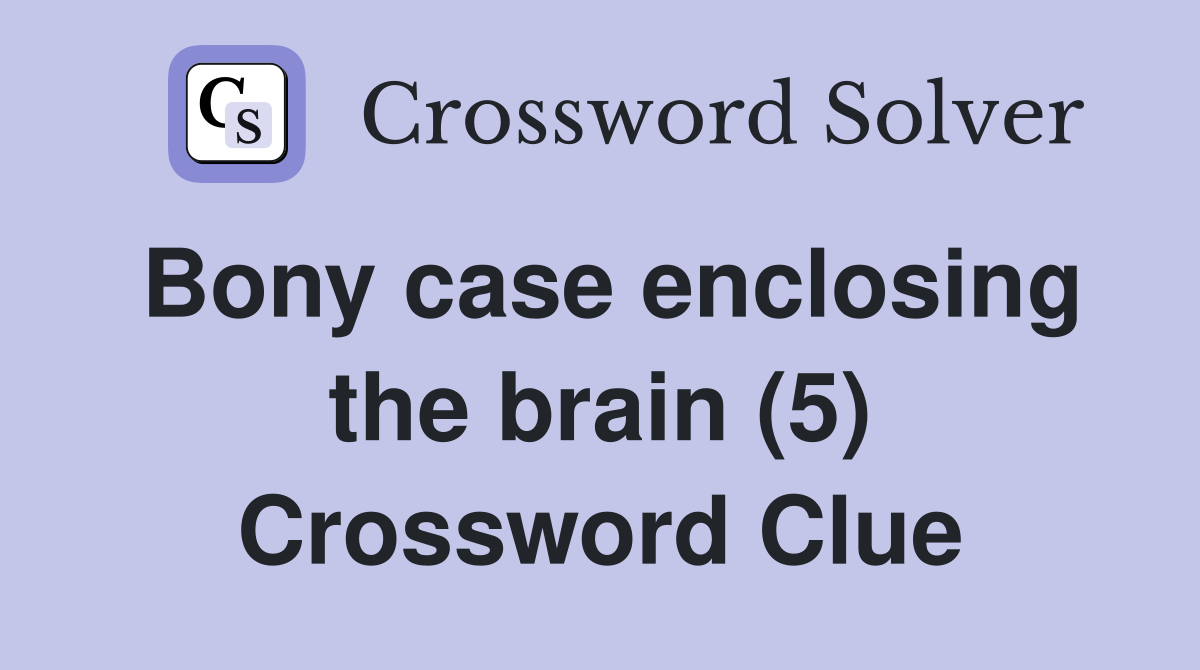 Bony case enclosing the brain (5) Crossword Clue