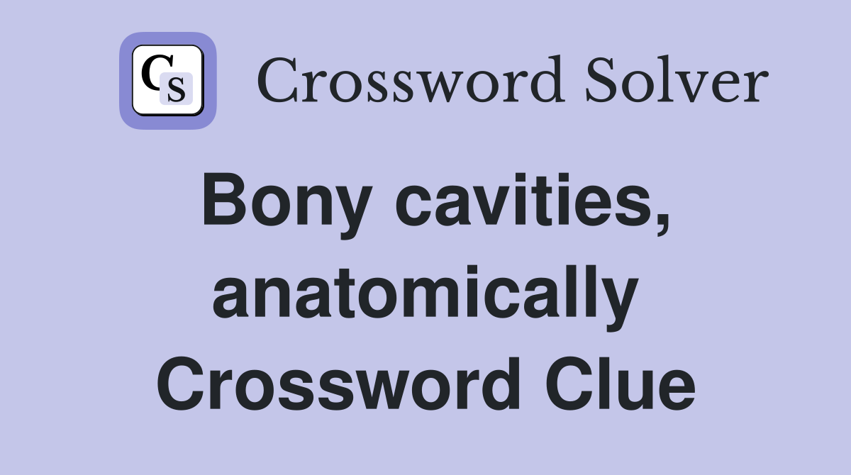 Bony cavities, anatomically Crossword Clue