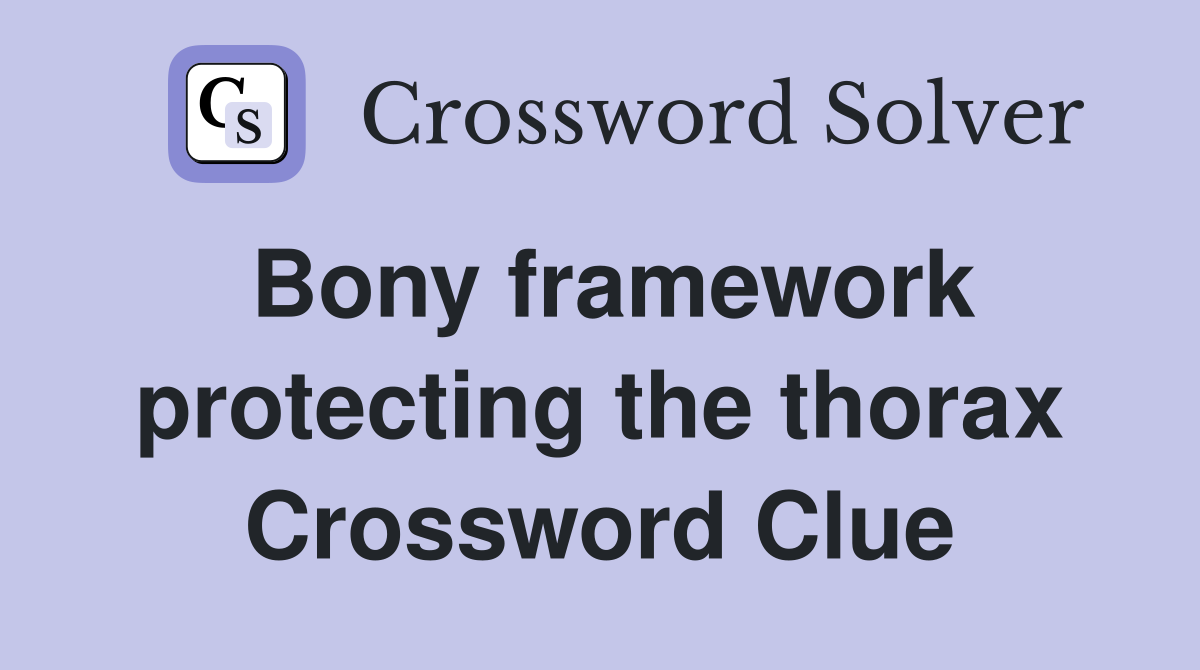 Bony framework protecting the thorax Crossword Clue