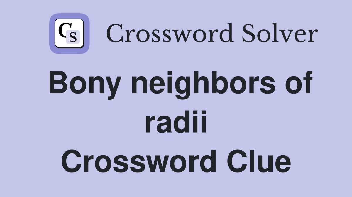Bony neighbors of radii Crossword Clue