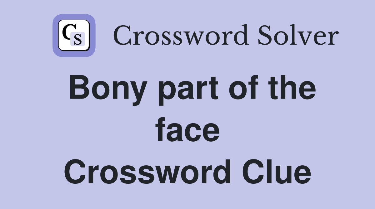 Bony part of the face Crossword Clue
