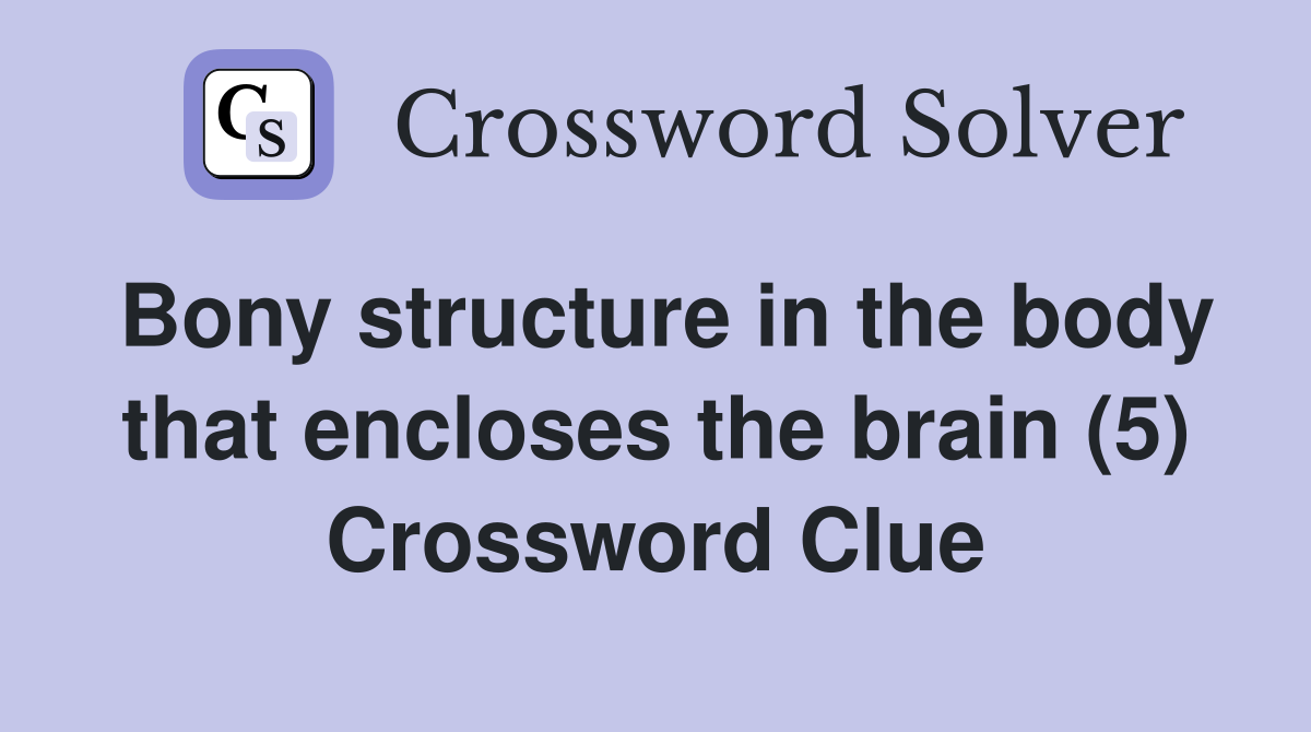 Bony structure in the body that encloses the brain (5) Crossword Clue