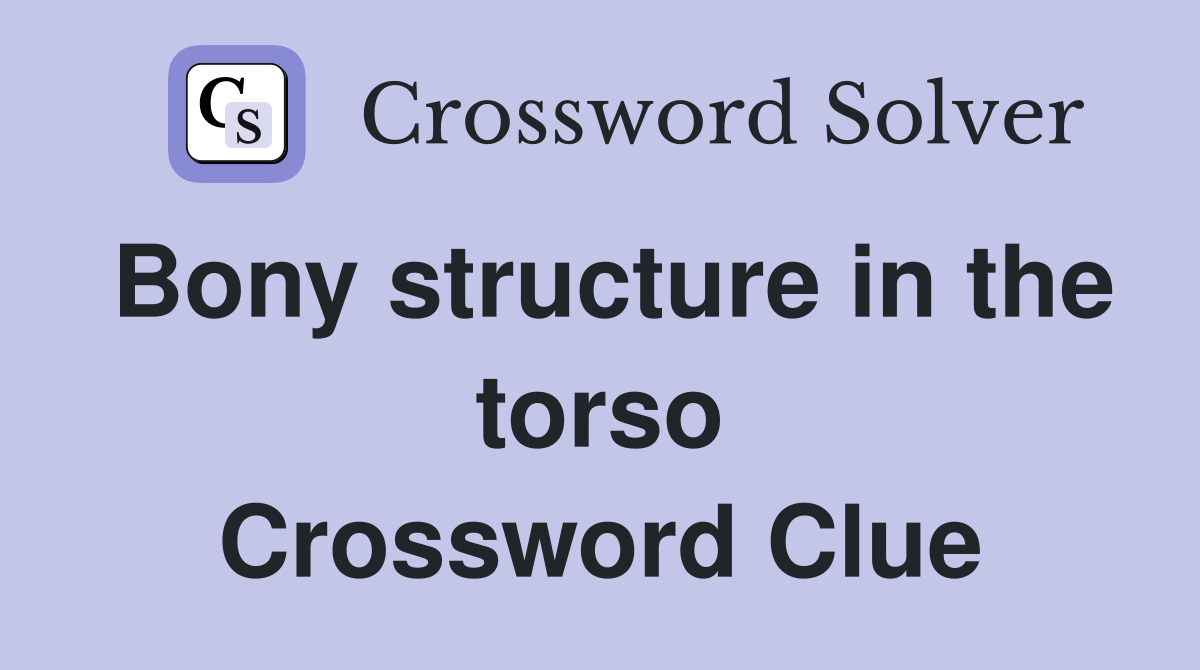 Bony structure in the torso Crossword Clue