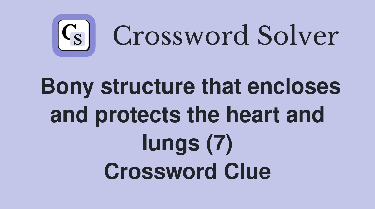 Bony structure that encloses and protects the heart and lungs (7) Crossword Clue