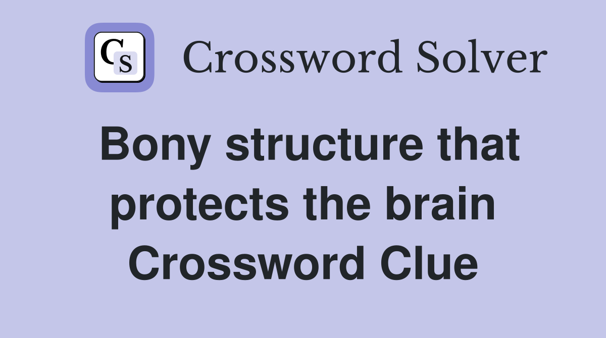 Bony structure that protects the brain Crossword Clue