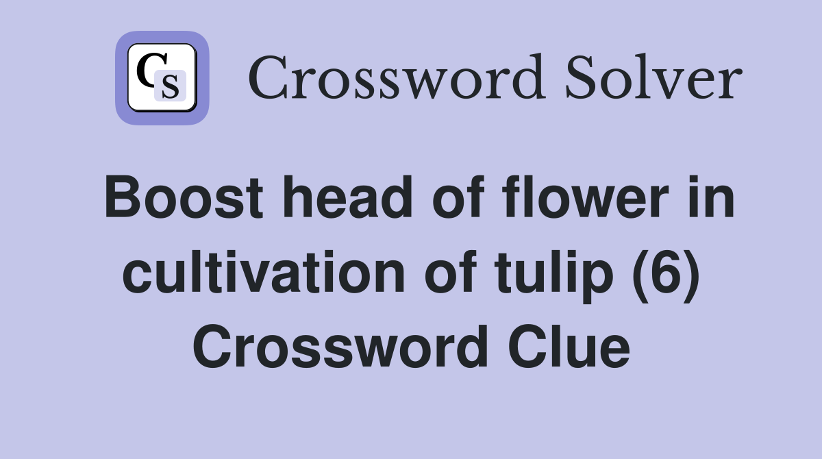 Boost head of flower in cultivation of tulip (6) Crossword Clue