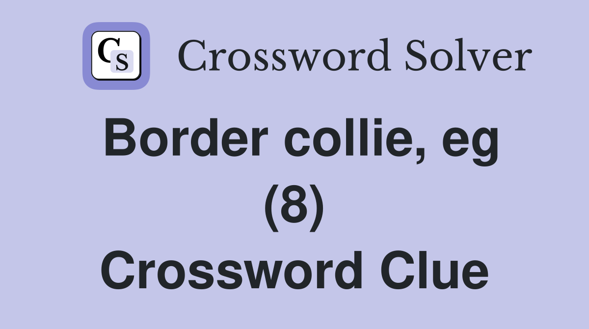 Border collie, eg (8) Crossword Clue