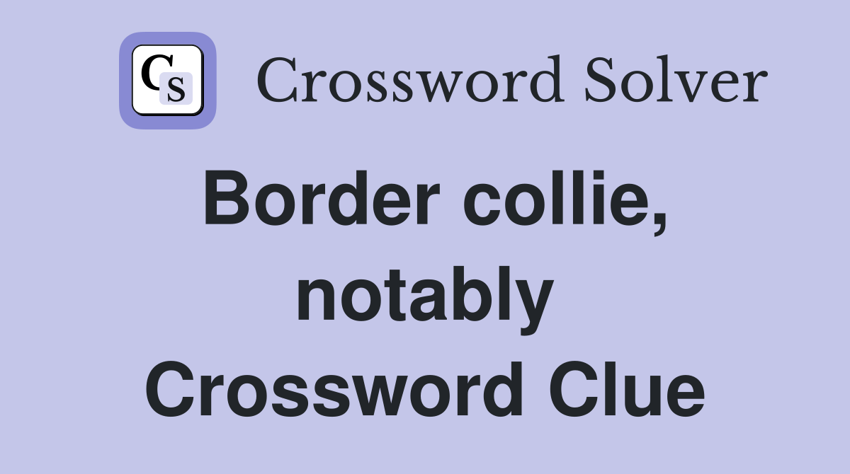 Border collie, notably Crossword Clue