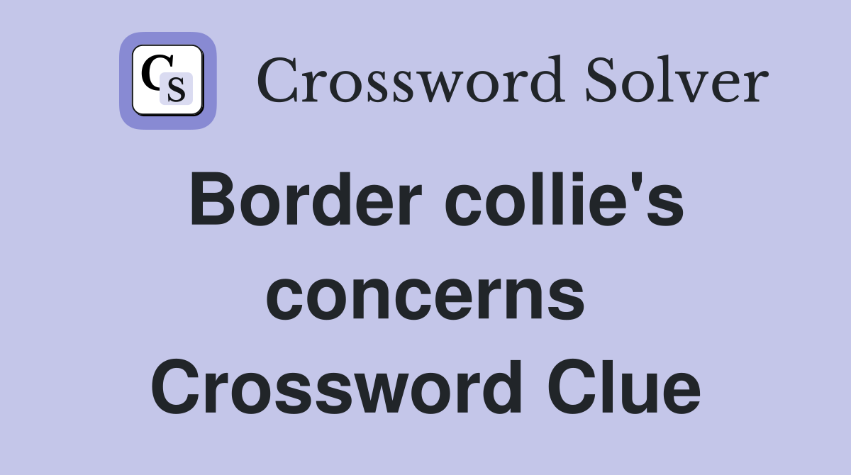Border collie's concerns Crossword Clue