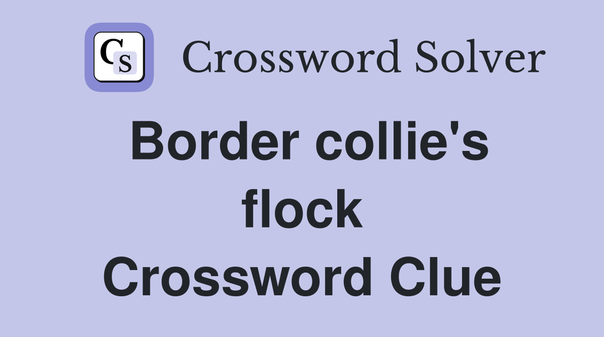 Border collie's flock Crossword Clue