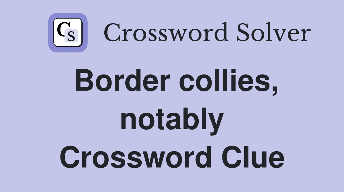 Border collies, notably Crossword Clue