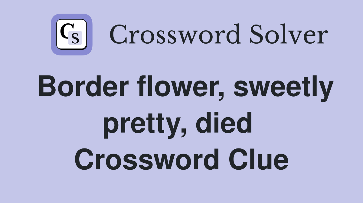 Border flower, sweetly pretty, died  Crossword Clue