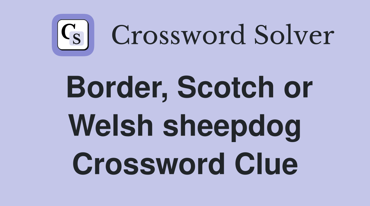 Border, Scotch or Welsh sheepdog Crossword Clue