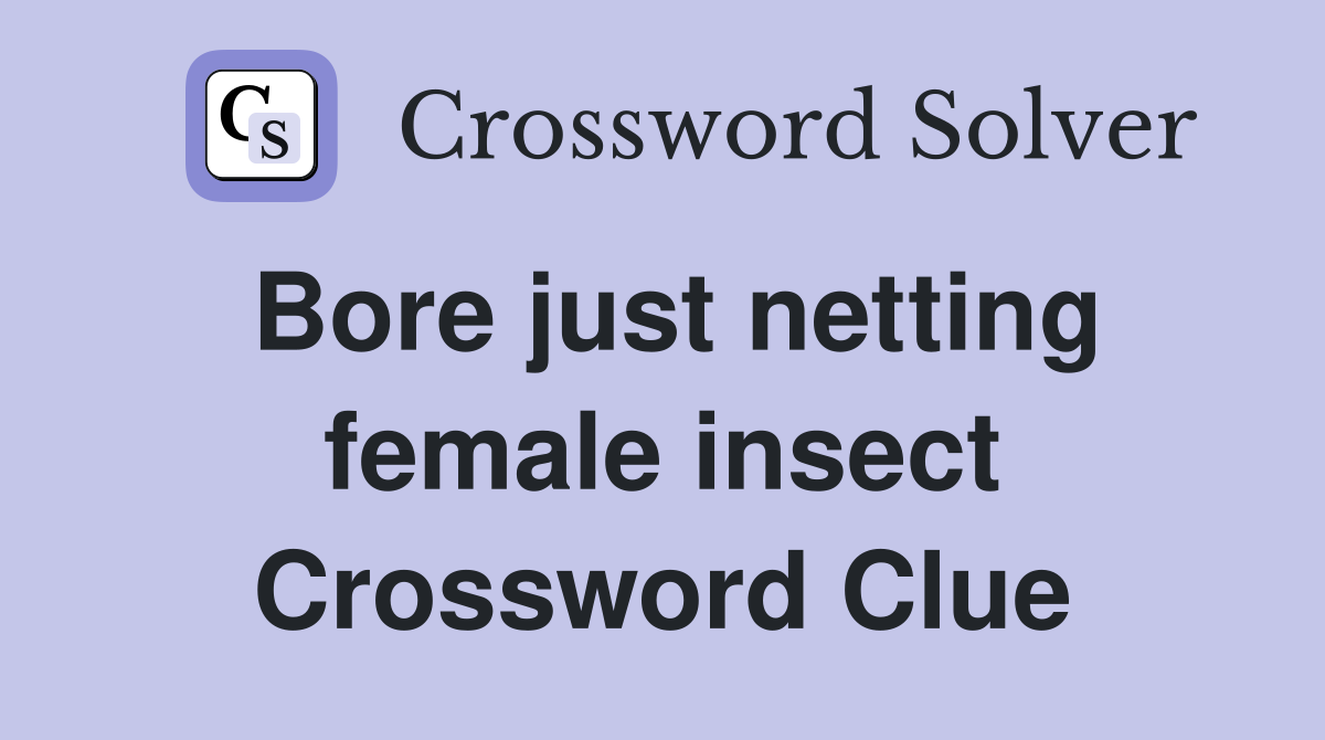 Bore just netting female insect Crossword Clue