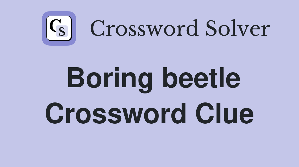 Boring beetle Crossword Clue