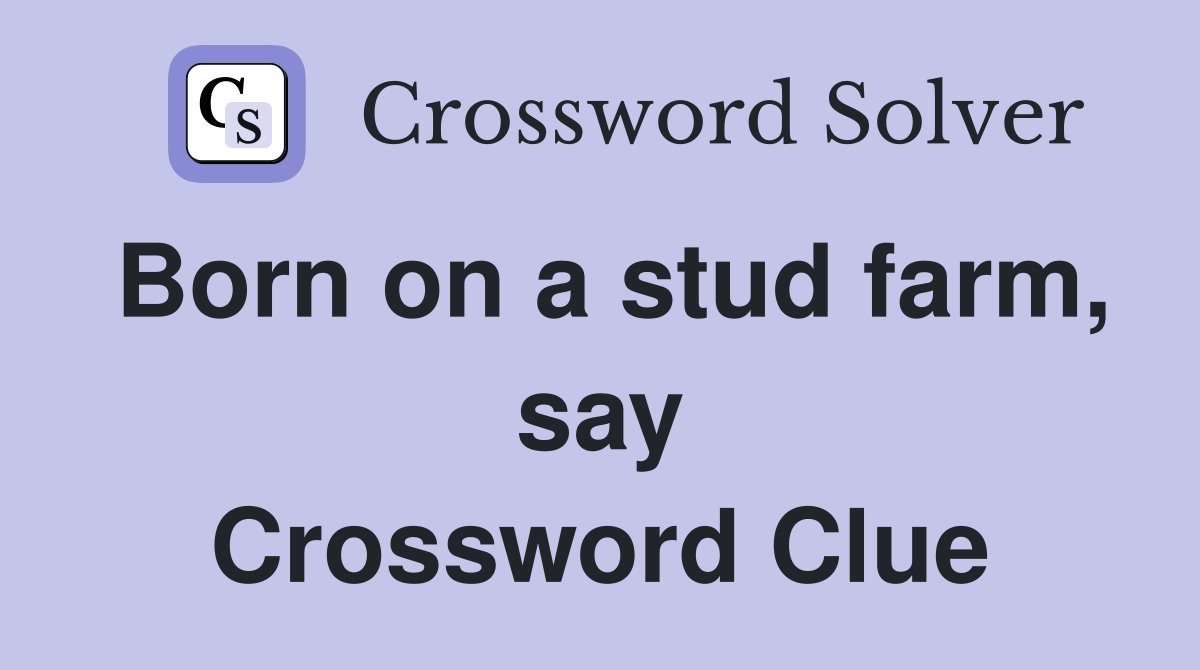Born on a stud farm, say Crossword Clue