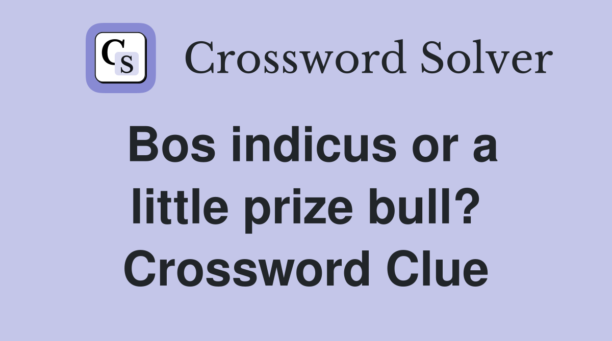 Bos indicus or a little prize bull? Crossword Clue