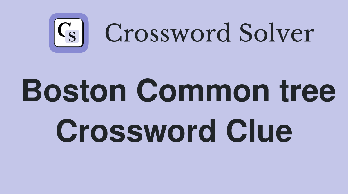 Boston Common tree Crossword Clue