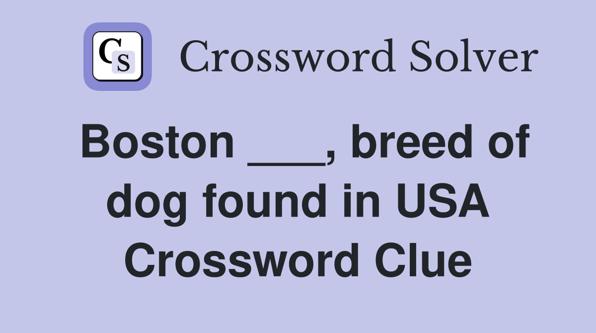 Boston ___, breed of dog found in USA Crossword Clue
