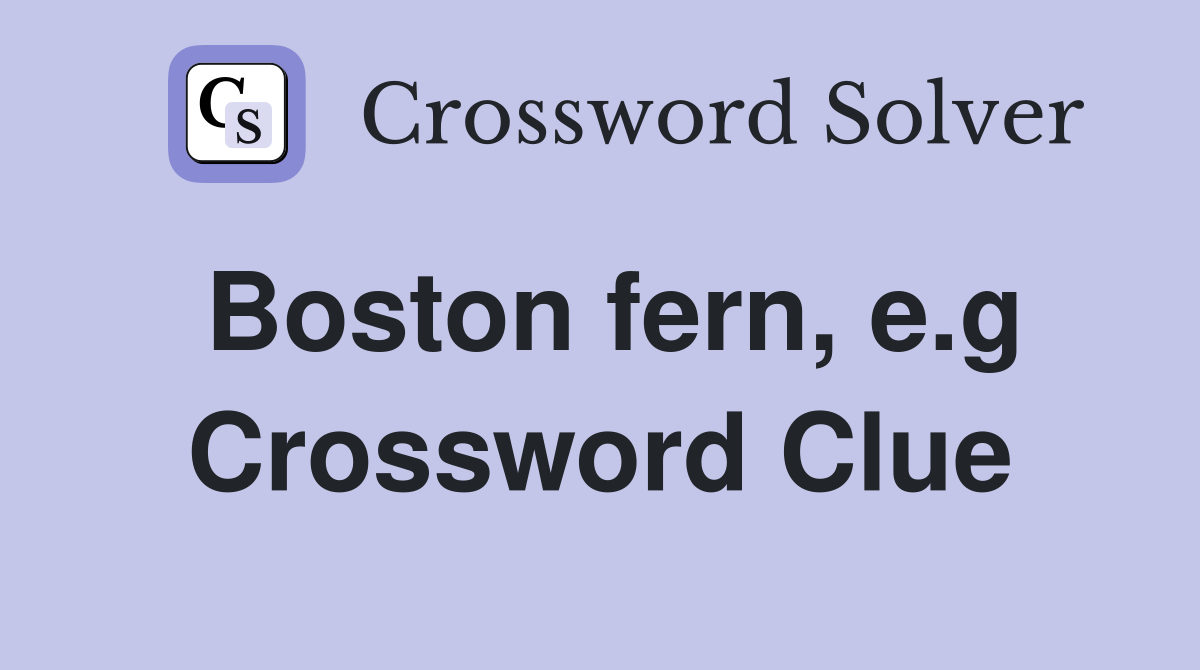 Boston fern, e.g Crossword Clue