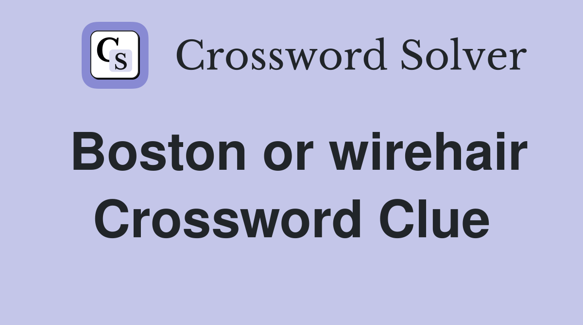 Boston or wirehair Crossword Clue