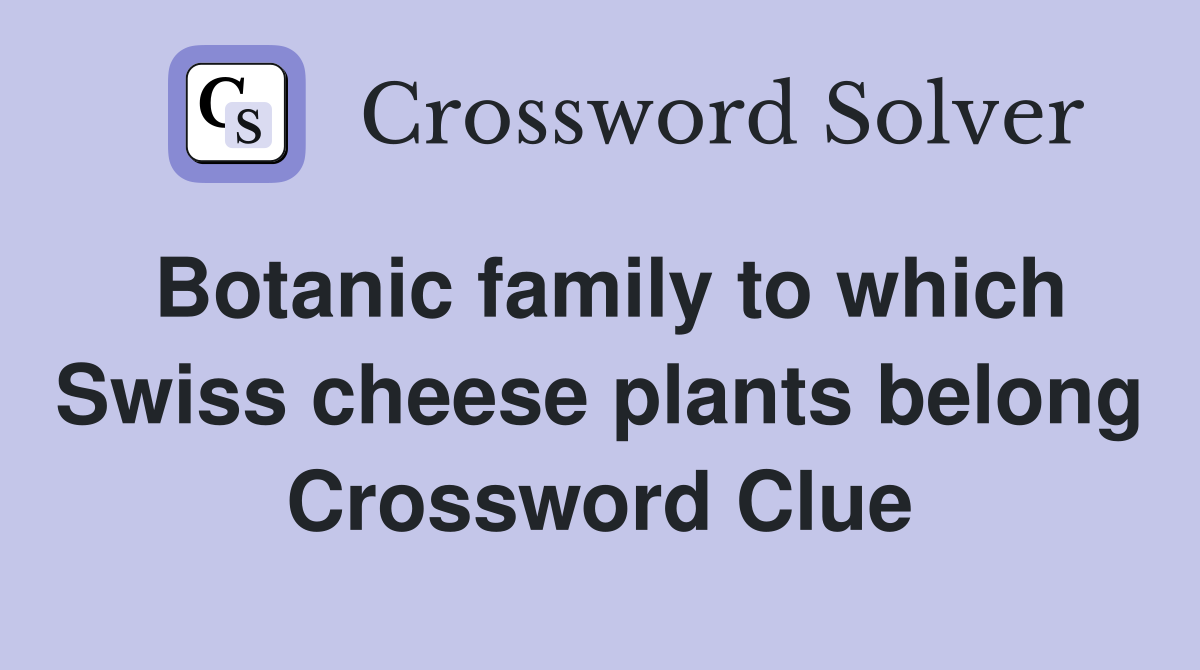 Botanic family to which Swiss cheese plants belong Crossword Clue