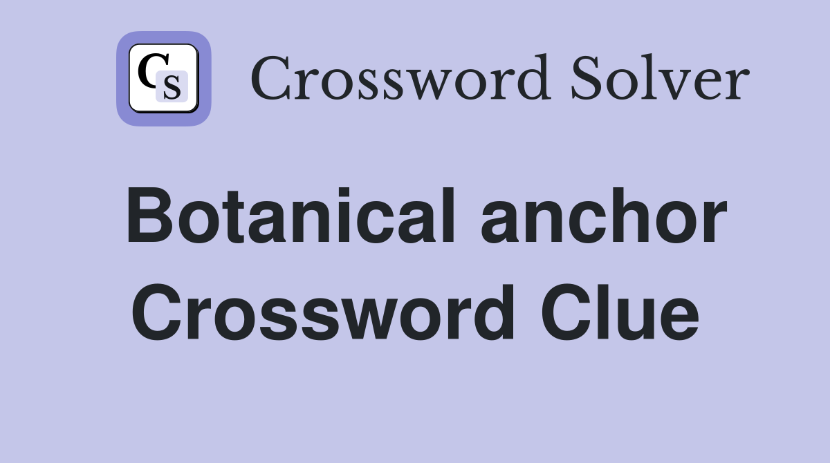 Botanical anchor Crossword Clue