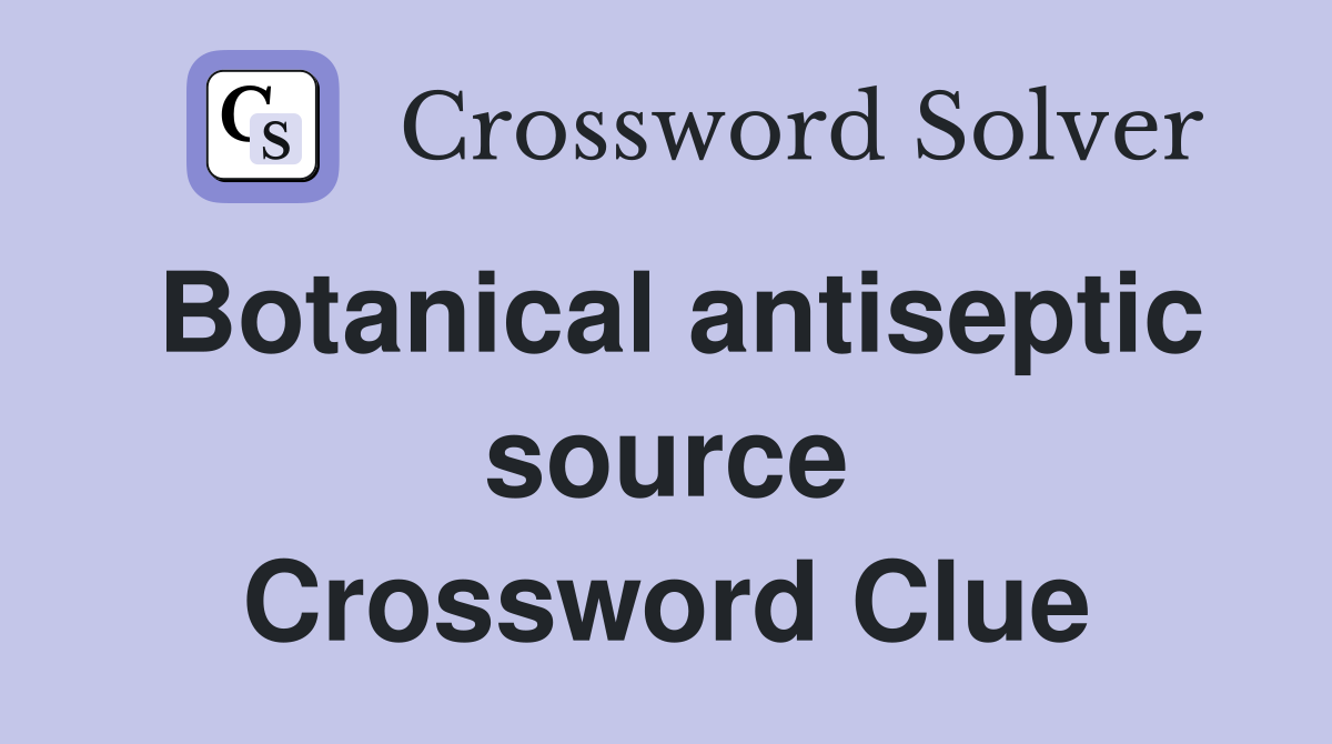 Botanical antiseptic source Crossword Clue