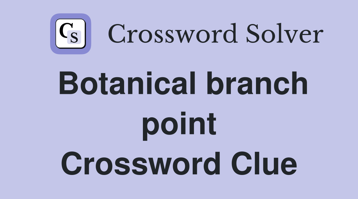 Botanical branch point Crossword Clue