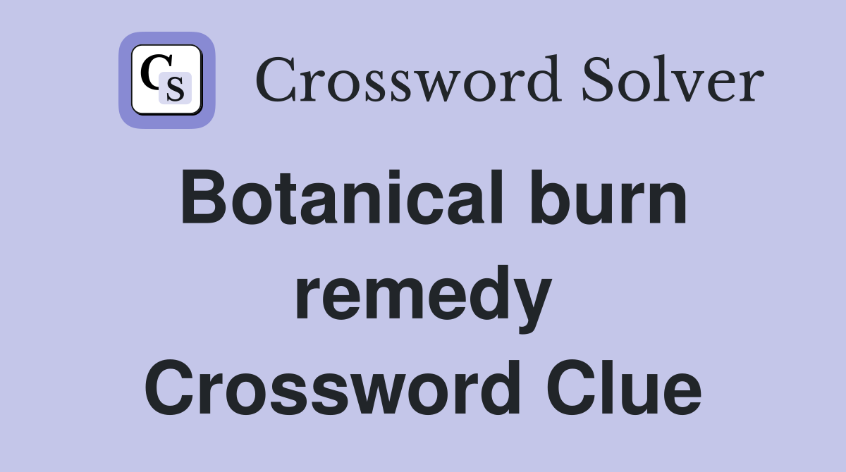 Botanical burn remedy Crossword Clue