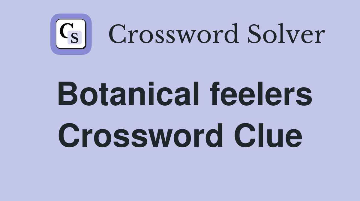 Botanical feelers Crossword Clue