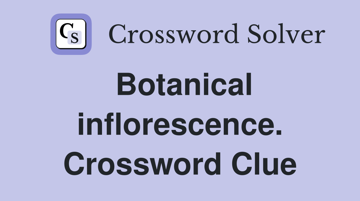 Botanical inflorescence. Crossword Clue