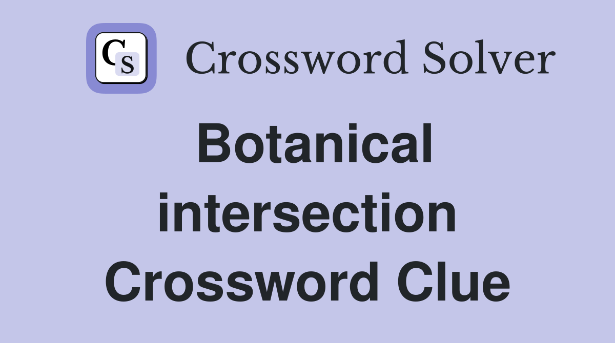 Botanical intersection Crossword Clue