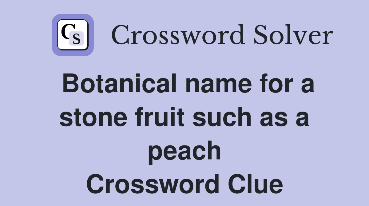 Botanical name for a stone fruit such as a peach Crossword Clue