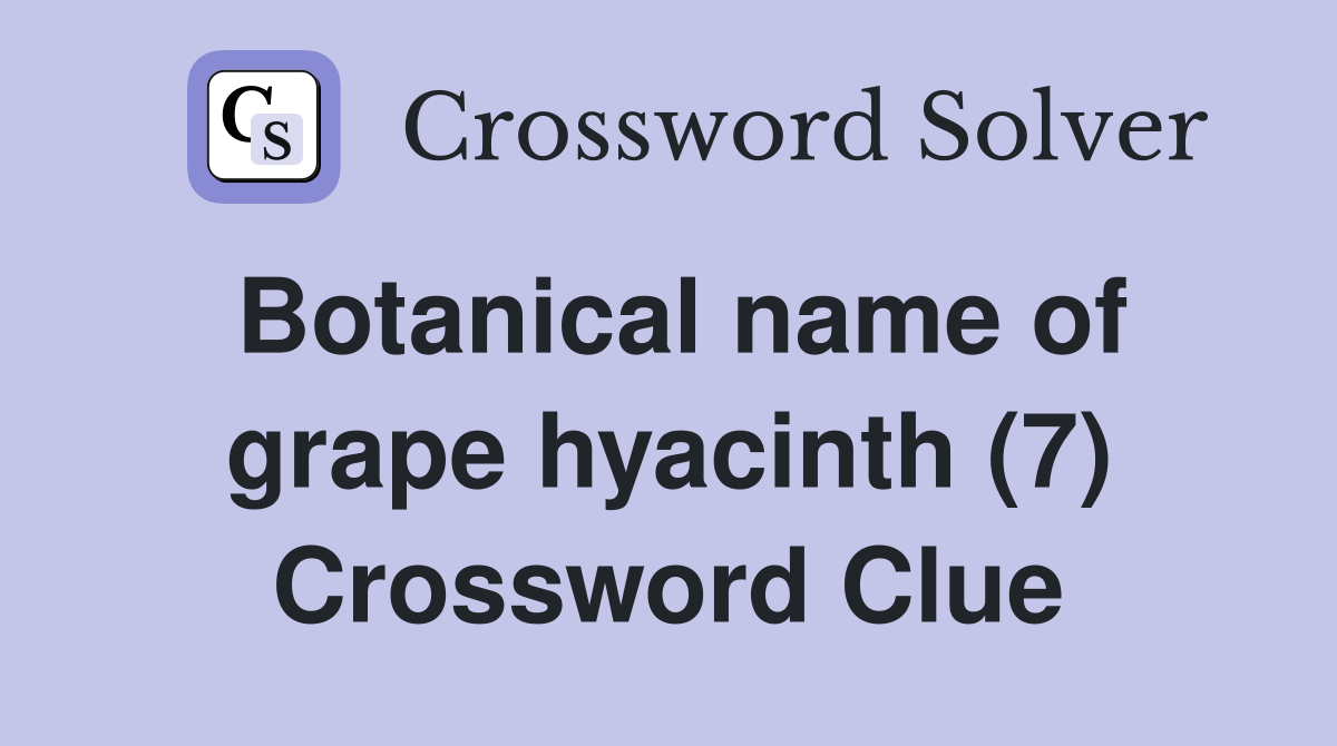 Botanical name of grape hyacinth (7) Crossword Clue