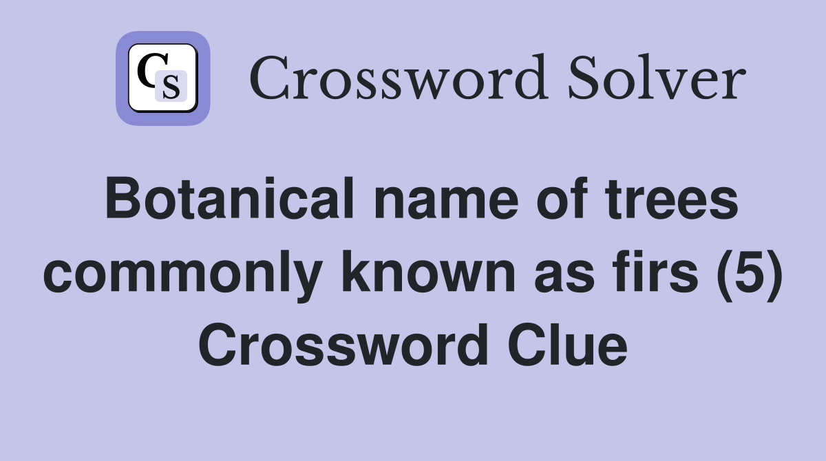 Botanical name of trees commonly known as firs (5) Crossword Clue