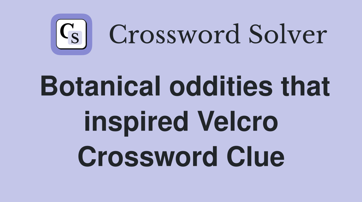 Botanical oddities that inspired Velcro Crossword Clue