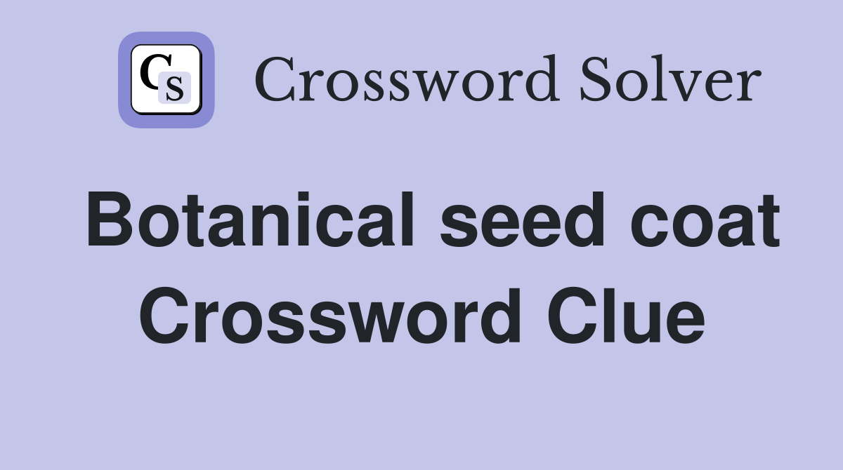 Botanical seed coat Crossword Clue
