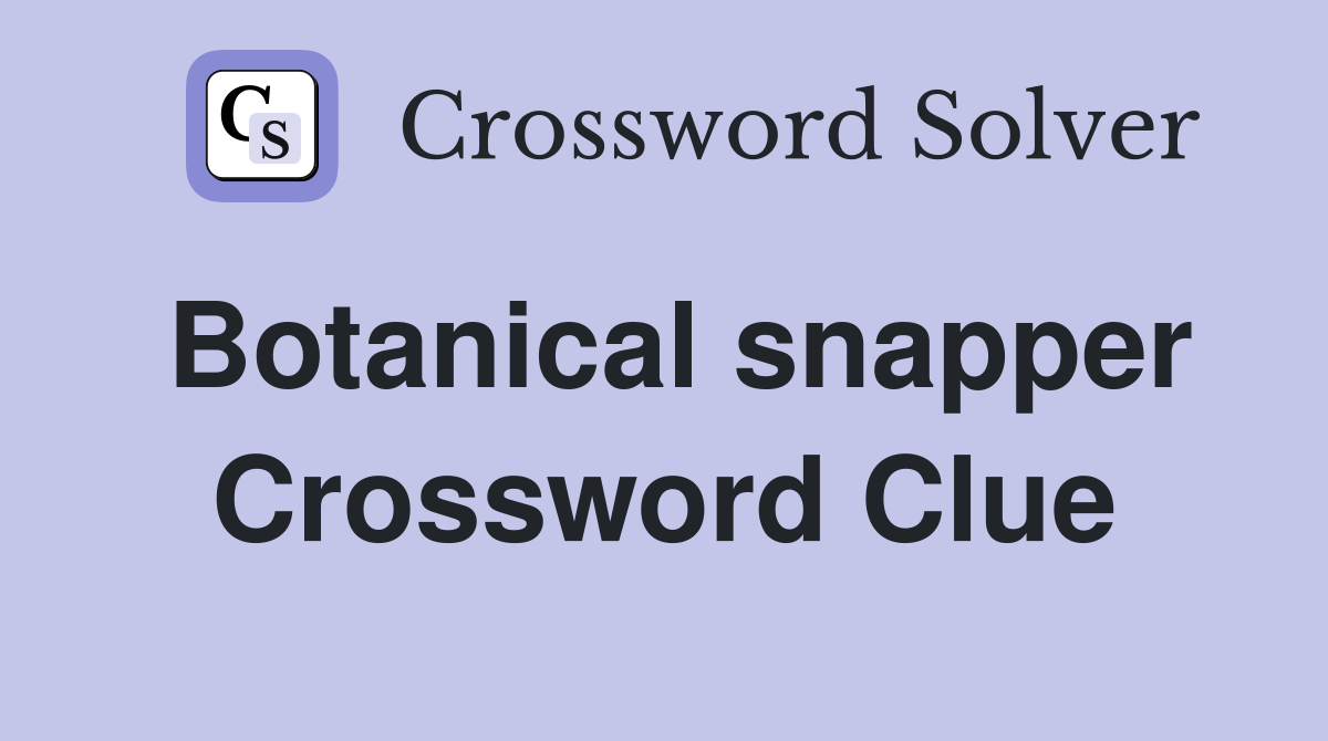 Botanical snapper Crossword Clue