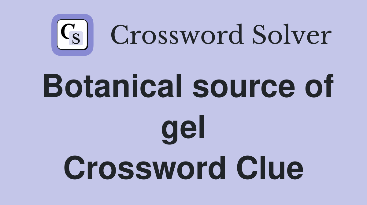 Botanical source of gel Crossword Clue