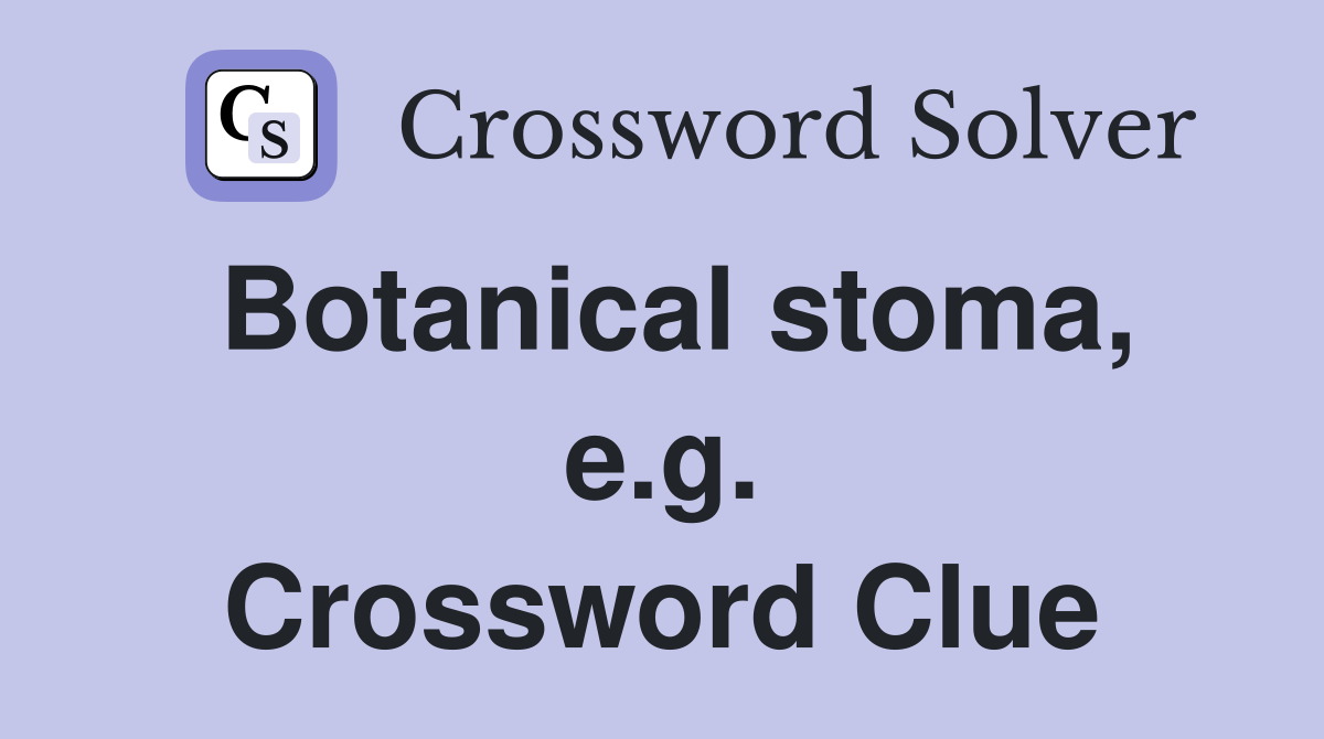 Botanical stoma, e.g. Crossword Clue