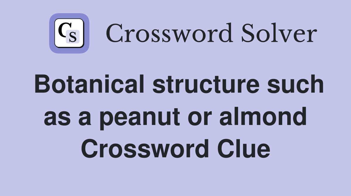 Botanical structure such as a peanut or almond Crossword Clue