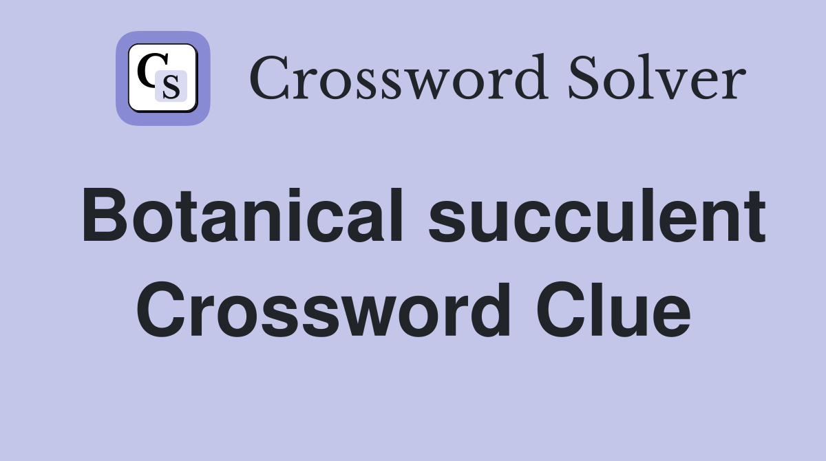 Botanical succulent Crossword Clue