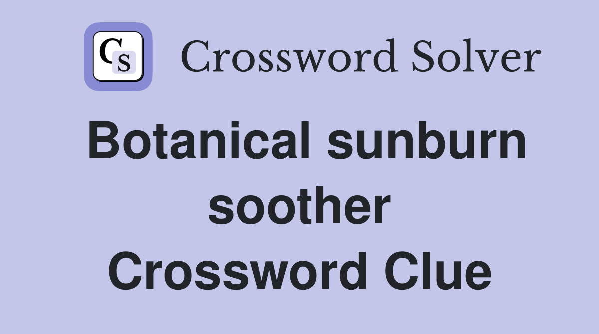Botanical sunburn soother Crossword Clue